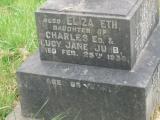 image of grave number 828986